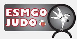 Logo ESM GONFREVILLE